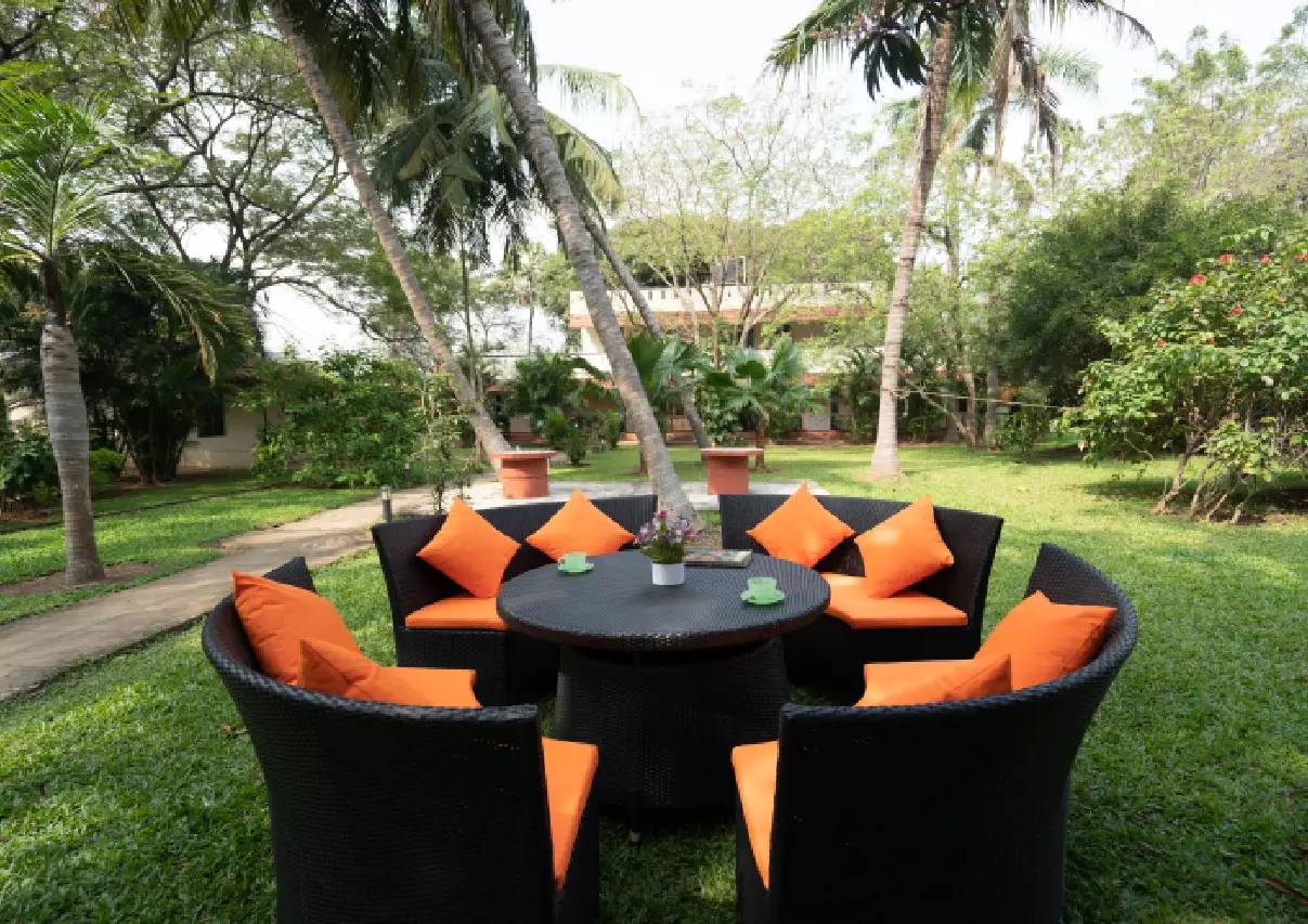 Outdoor Furniture